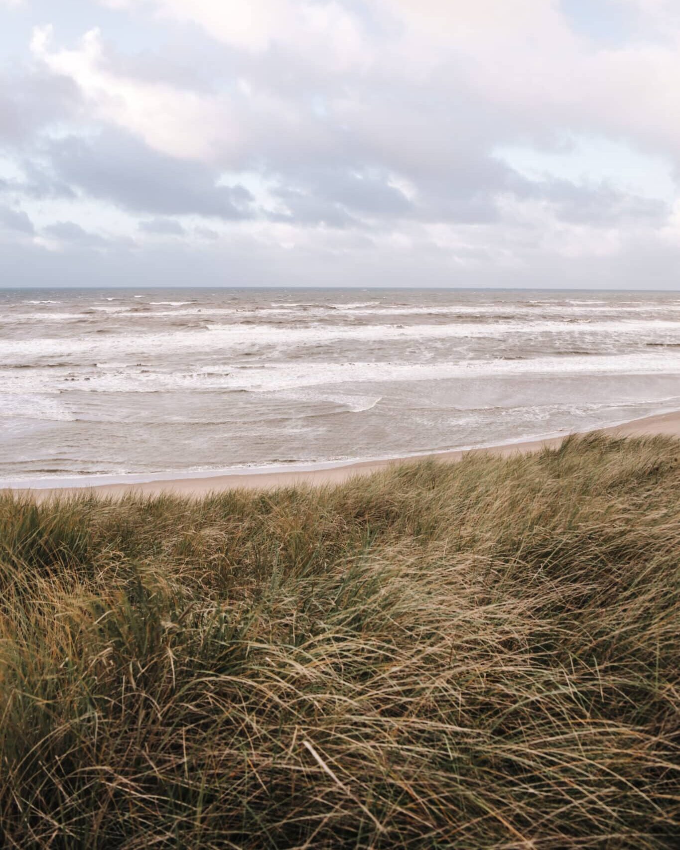Wilde zee in de winter van Zandvoort met de ruige duinen op de voorgrond