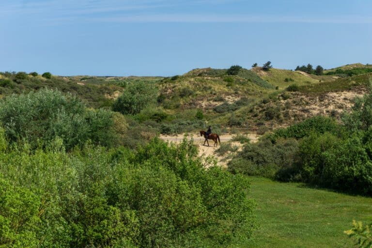 Paardrijden in Nationaal Park Zuid-Kennemerland